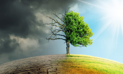Adaptation Can No Longer Go Under-prioritised