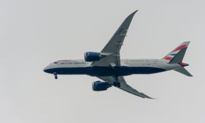 domestic flights