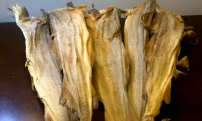 stockfish