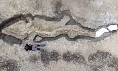 Ichthyosaur: Huge fossilised ‘sea dragon’ found in Rutland reservoir