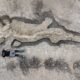 Ichthyosaur: Huge fossilised ‘sea dragon’ found in Rutland reservoir