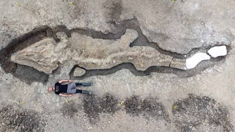 Ichthyosaur: Huge fossilised ‘sea dragon’ found in Rutland reservoir