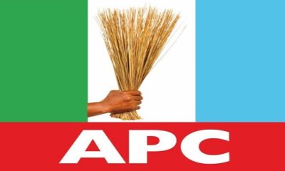 APC National Convention will hold in February — Governors