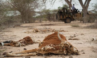 13 million face hunger as Horn of Africa drought worsens — UN