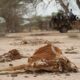 13 million face hunger as Horn of Africa drought worsens — UN