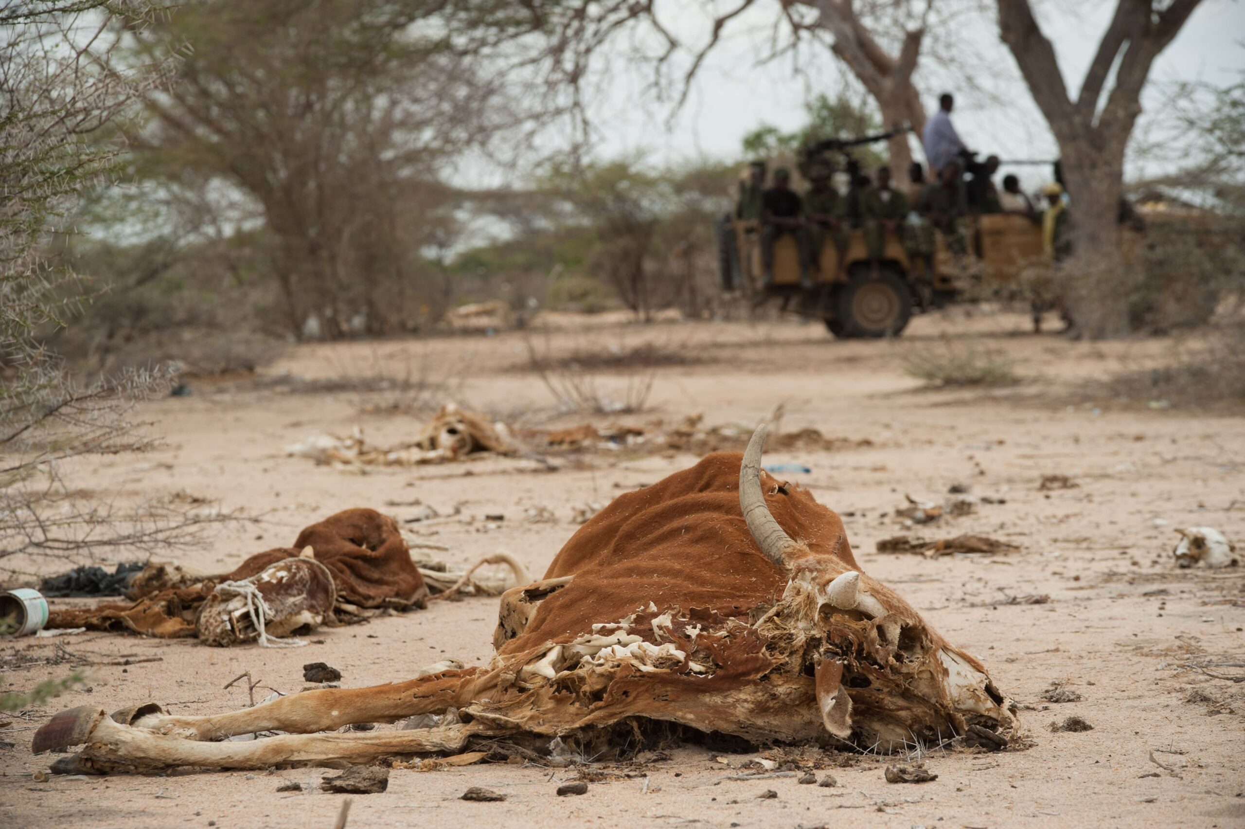 13 million face hunger as Horn of Africa drought worsens — UN