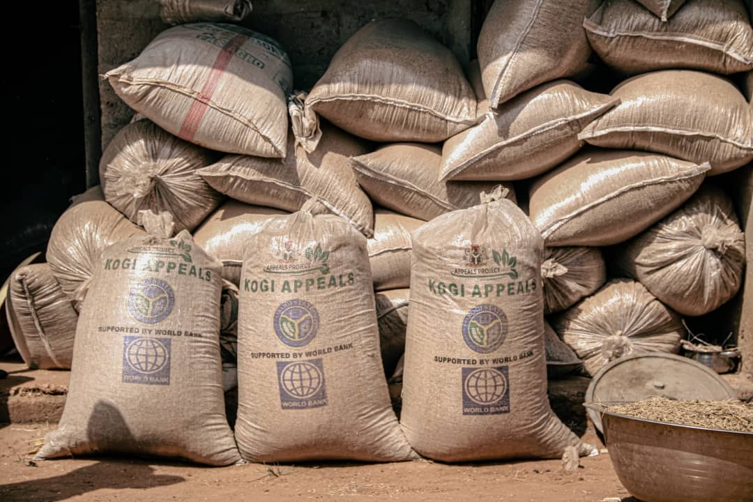 Federal Govt Rice Policies Create 58 Mills Despite Hurdles