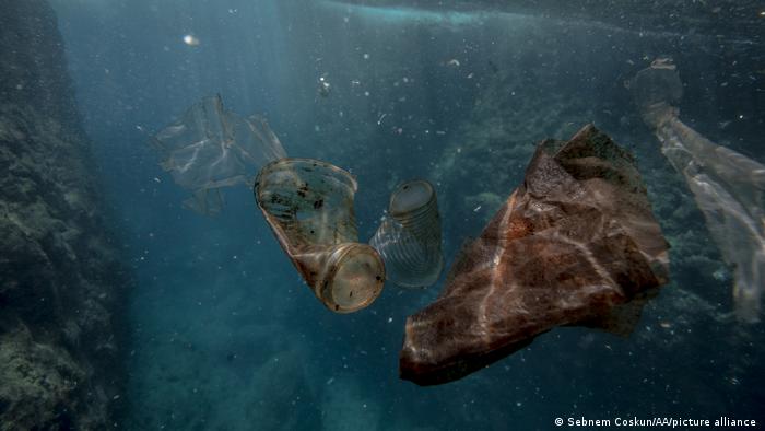 Plastic pollution affects 88% of marine species: WWF
