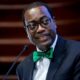 AfDB laments drop of Africa’s GDP by $165b in 2020