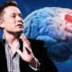 Elon Musk’s brain chip implants almost ready, with it humans can save memories like ‘photo album’