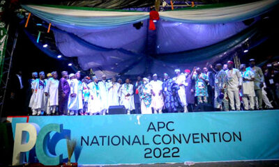 Consensus without consent: APC convention in focus