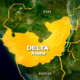 Delta govt signs MoU with American firm on Songhai farm