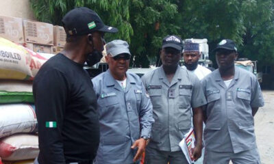 Customs seize truckload of donkey meat, cannabis in Kaduna