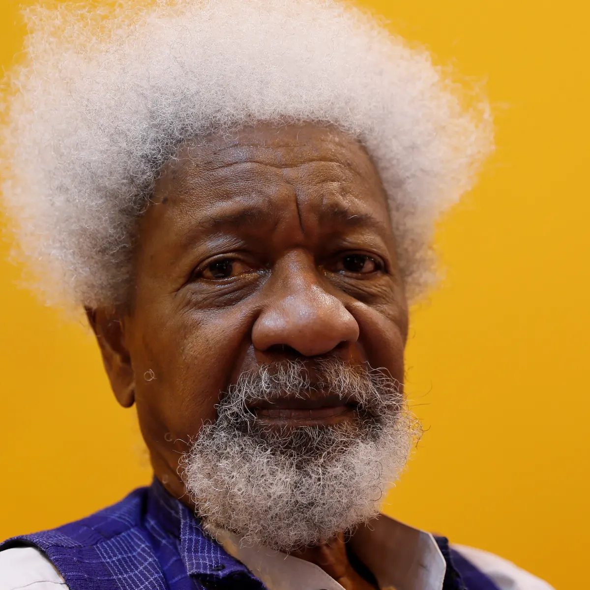 OAU VC: ‘It is crazy,’ Soyinka faults protesting Ife indigenes