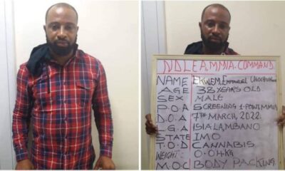 General Overseer arrested with drugs won’t be treated differently – NDLEA