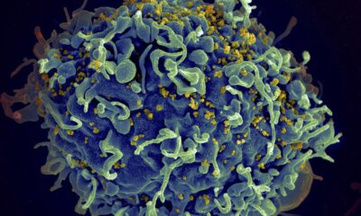 Climate change may increase risk of new infectious diseases