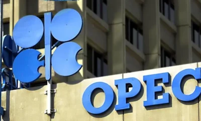 Oil price rises as OPEC projects steady demand growth