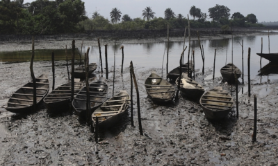 Nigerian govt rules out completion of Ogoni clean-up under Buhari