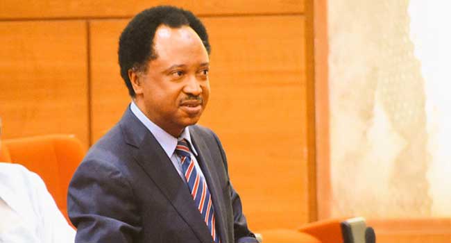 Shehu Sani berates Buhari, presidential aspirants over Plateau, Benue killings