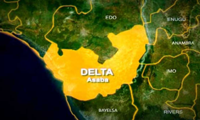 Delta hands over $40m Songhai farms to American firm