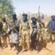 Bandits kill eight in Sokoto, abduct dozens, give conditions for peace