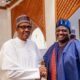 Why ministers, other appointees will always defend Buhari – Femi Adesina