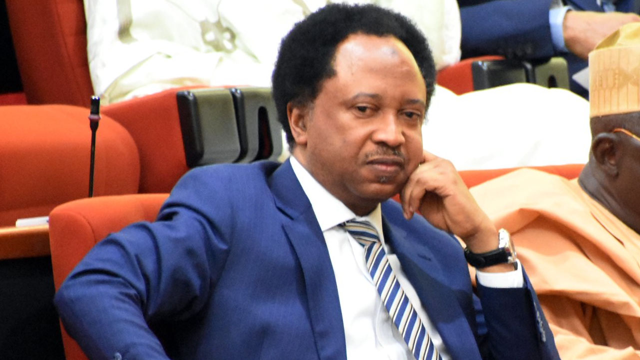 Nigeria runs extortionist politics —Shehu Sani