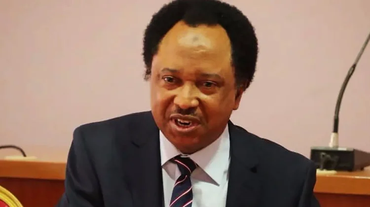 Shehu Sani backs Nigerian students, calls for more protests over ASUU strike