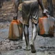 Nigerian govt says country lost $1bn to oil theft in 3 months