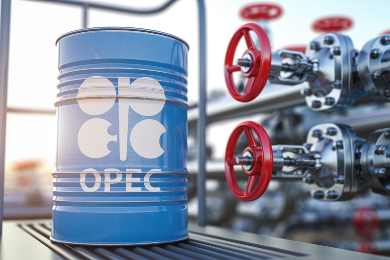 OPEC: Russia-Ukraine war causing volatility in global energy market