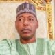 Borno gov, Zulum, approves dissolution of State Executive Council