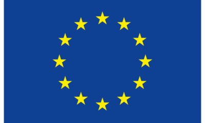 2023 Elections: Collect Your PVCs And Vote, EU Charges Nigerians