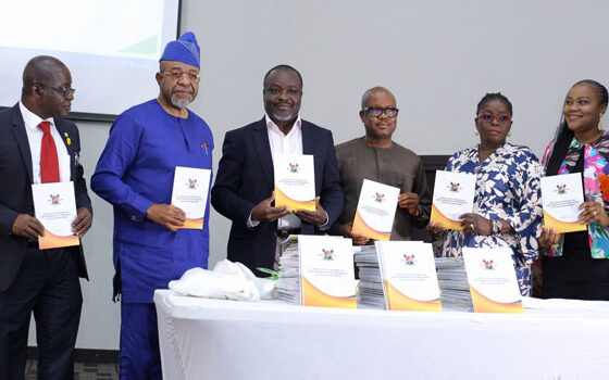 Lagos Govt Unveils New Guidelines On Safe, Lawful Abortions