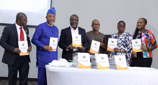 Lagos Govt Unveils New Guidelines On Safe, Lawful Abortions