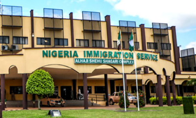 Alleged Organ Harvesting: Immigration Confirms Age Of ‘Victim’ In Ekweremadu’s Case