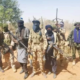 Terrorists who abducted Zamfara wedding guests demand N145m