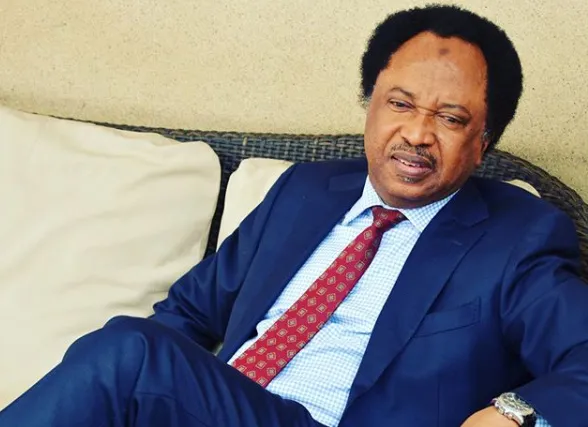 Buhari Should Have Retained Amaechi As Transportation Minister – Shehu Sani