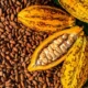 Fed Govt: cocoa production to hit 500,000 tons by 2024