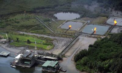 Ijaw leaders resist sale of marginal oil fields, as Nigerian govt names winners