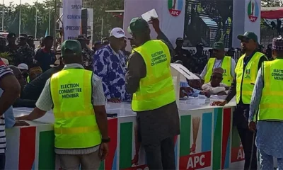 APC primary: Sorting, counting underway