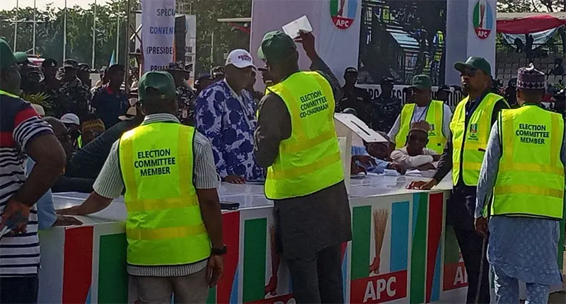 APC primary: Sorting, counting underway