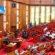 Senate Passes Nigeria Start-Up, Electricity, Social Security Commission Bills