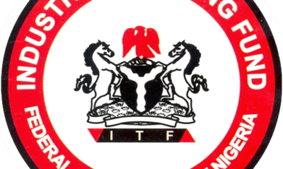 Nigeria filled with unskilled labour, ITF laments