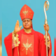 Nigeria’s Peter Okpaleke To Be Sworn-In As Catholic Cardinal