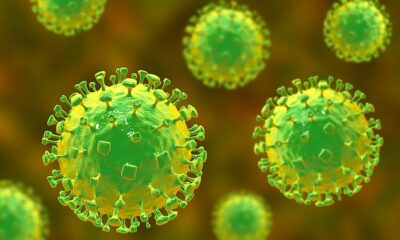 Over 30 infected as new Langya virus is discovered in China
