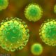 Over 30 infected as new Langya virus is discovered in China
