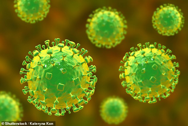 Over 30 infected as new Langya virus is discovered in China