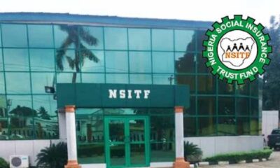 Nigerian govt official claims termites ate evidence Of N17.15bn spent By NSITF
