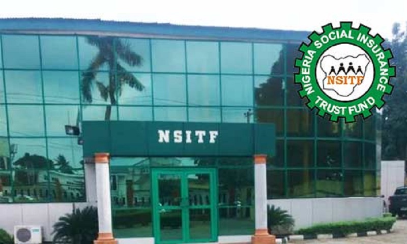 Nigerian govt official claims termites ate evidence Of N17.15bn spent By NSITF