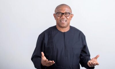 Nigeria Must End ‘Criminal’ Petrol Subsidy – Peter Obi